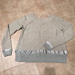 EXPRESS Silver Metallic Sweater