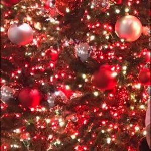 Meet your Posher, Ann