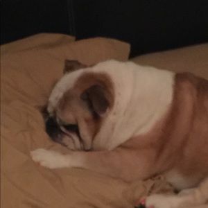 Meet your Posher, Peyton