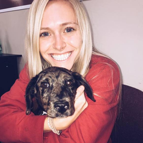 Meet your Posher, Peyton - Picture 1 of 1