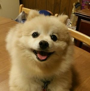 Meet your Posher, Denise