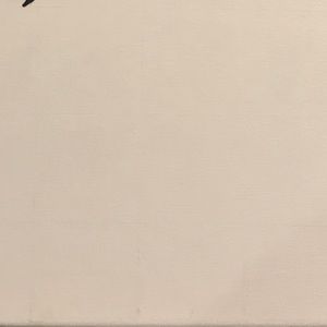 Meet your Posher, Ausin