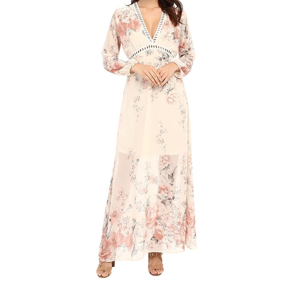 Brigitte Bailey Maxi Dress