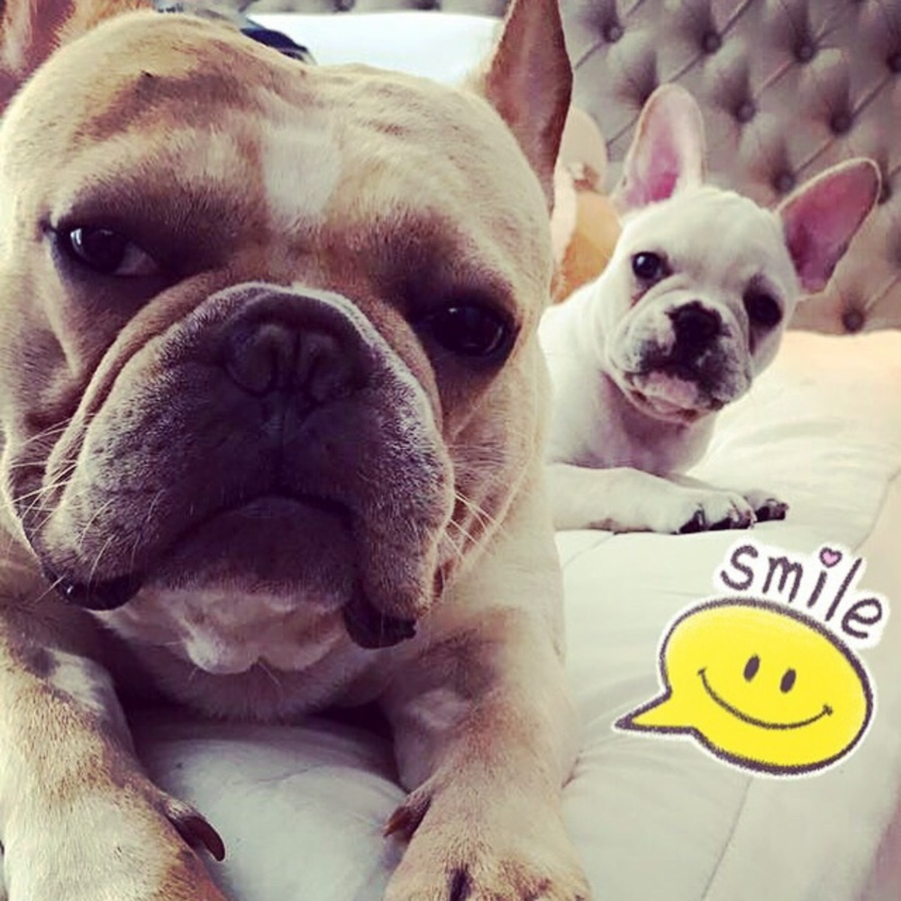 Meet your Posher, Han