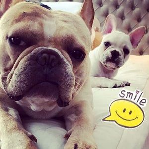 Meet your Posher, Han