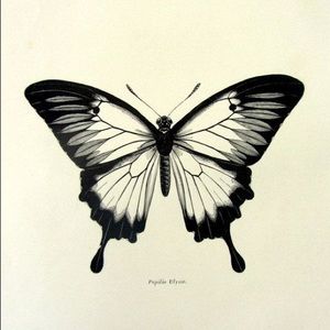 Meet your Posher, Justine