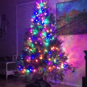 Meet your Posher, Dawn