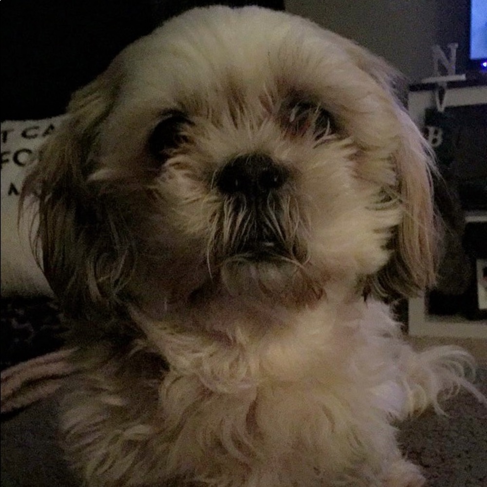 Meet your Posher, Emily