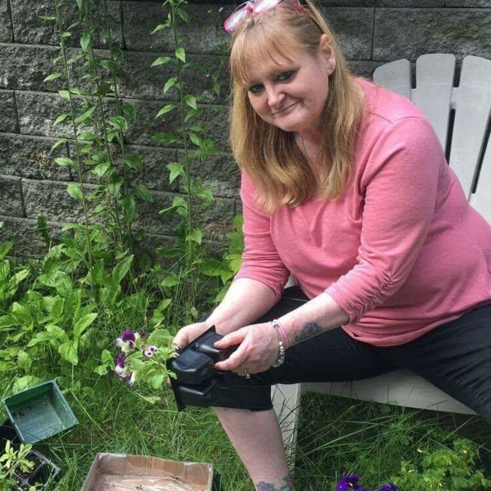 Meet your Posher, Dawn