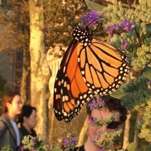 Meet your Posher, Nichole