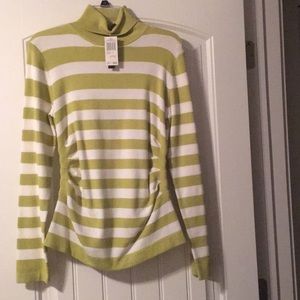 Striped Turtle Neck sweater