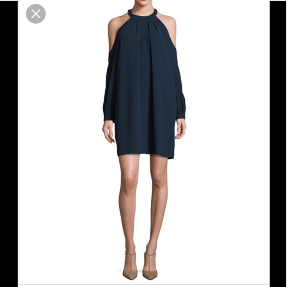 BCBGMAXAZRIA "Josephine" crepe shift dress.