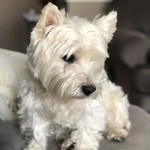 Meet your Posher, Sheila