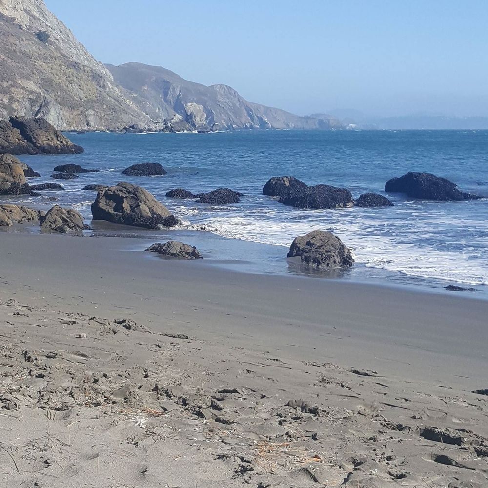 Meet your Posher, Gina