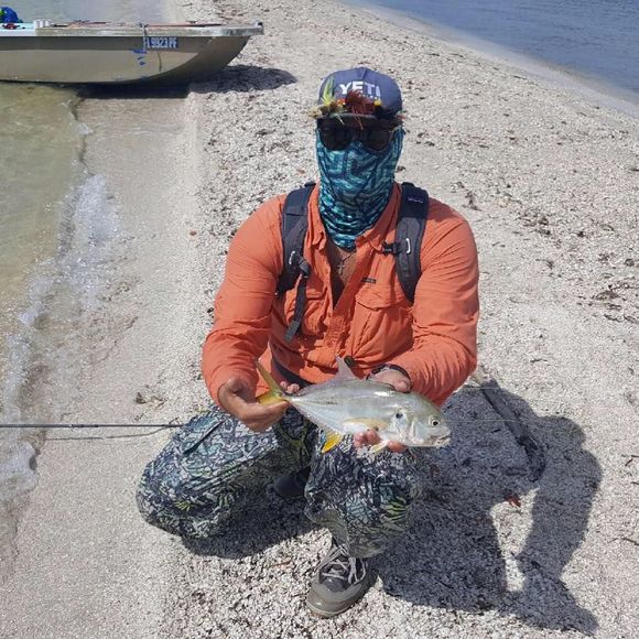 Meet your Posher, Carter - Picture 1 of 1