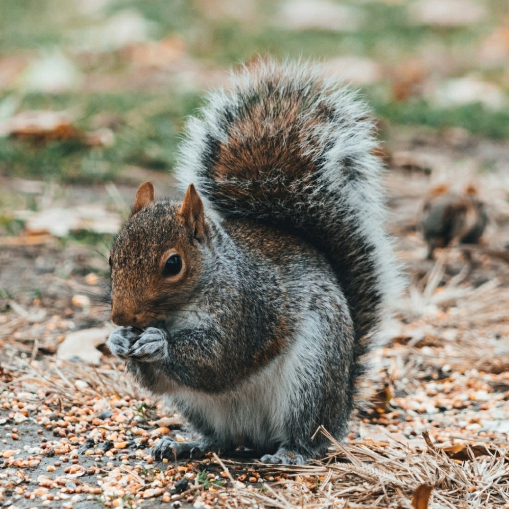 Meet your Posher, Kaden