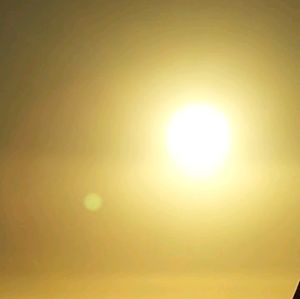 Meet your Posher, Gil