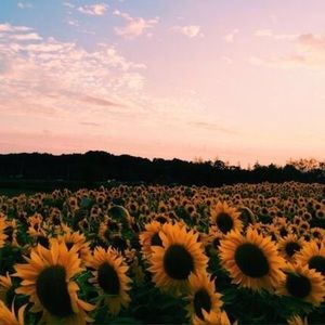 Meet your Posher, Cassie