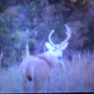 Meet your Posher, Corey