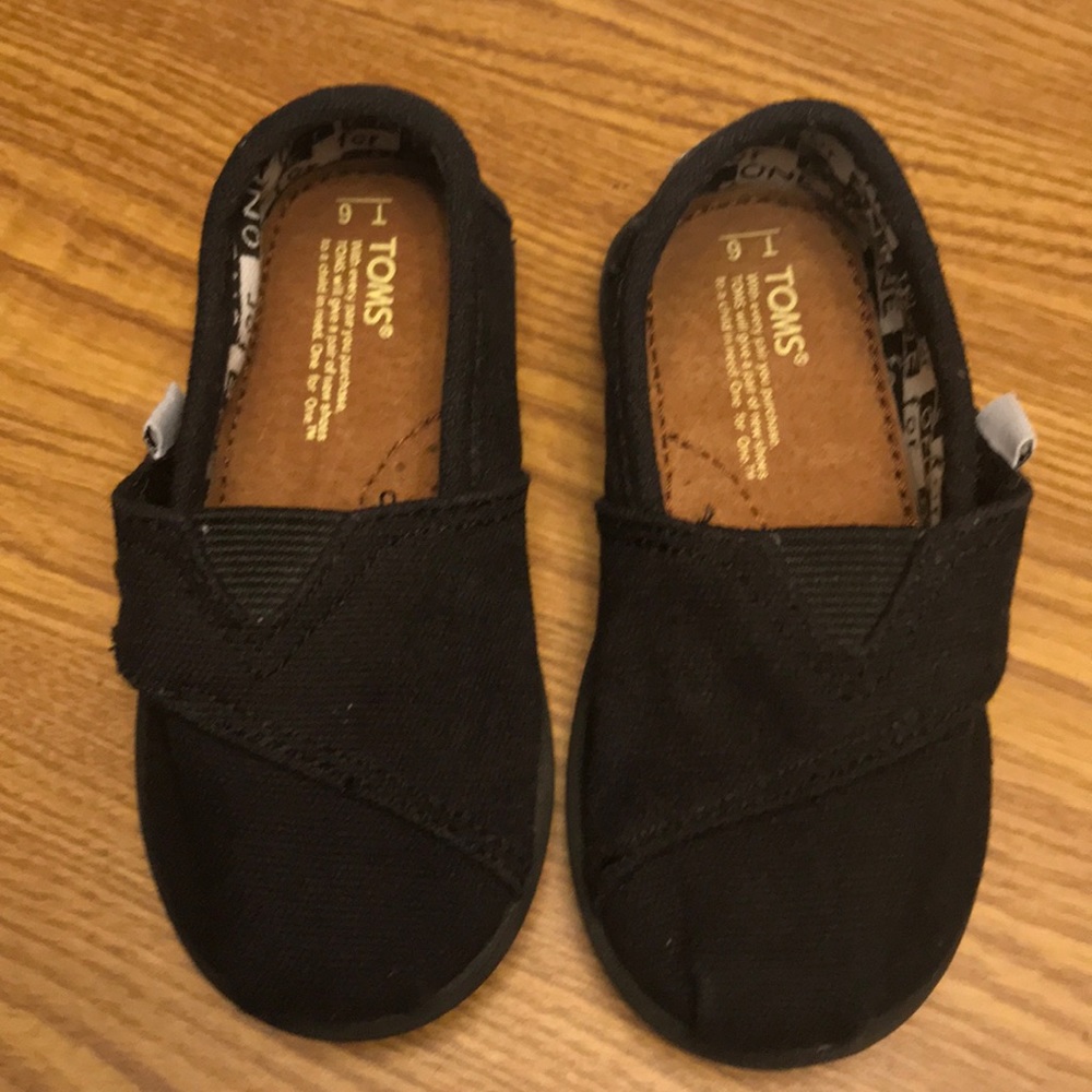 Toms T6