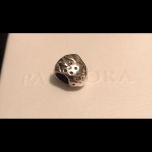 Pandora Authentic Charm