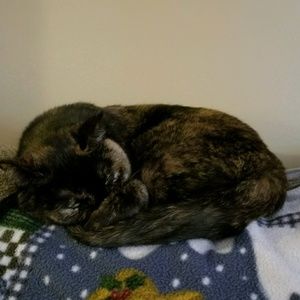 Meet your Posher, Barb