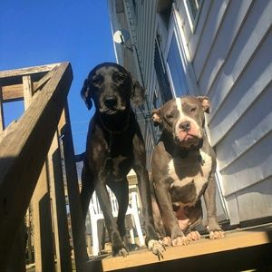 Meet your Posher, Raquel