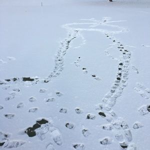 Meet your Posher, Aaron