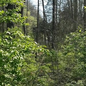 Meet your Posher, Hayden