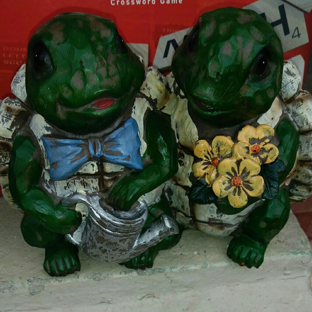 Turtles