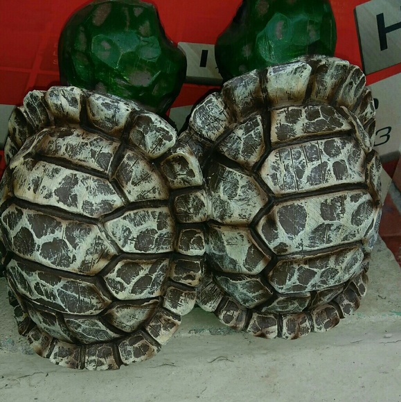 Turtles - Picture 2 of 2