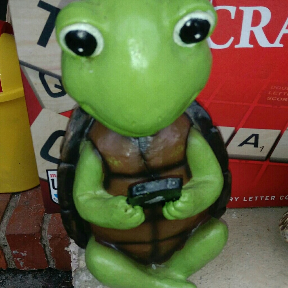 TURTLE