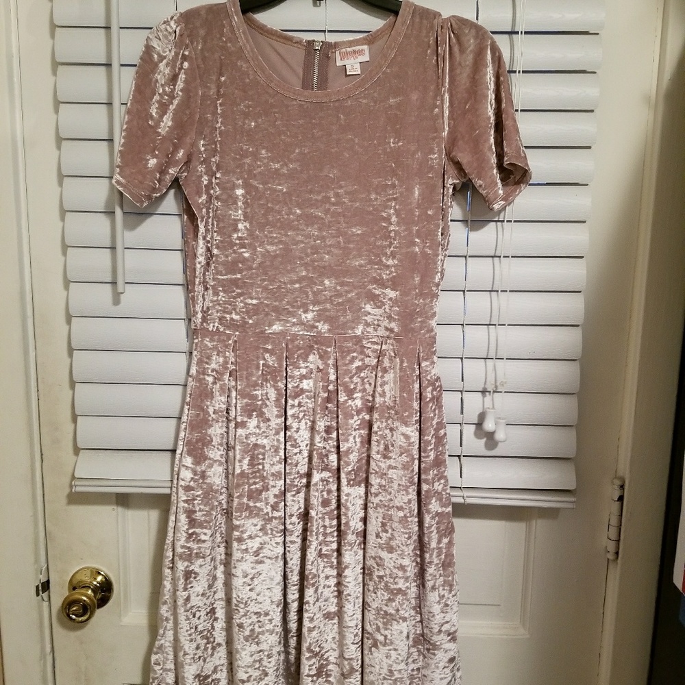 Elegant Amelia. Velvet size small dress