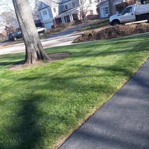 Meet your Posher, Saul