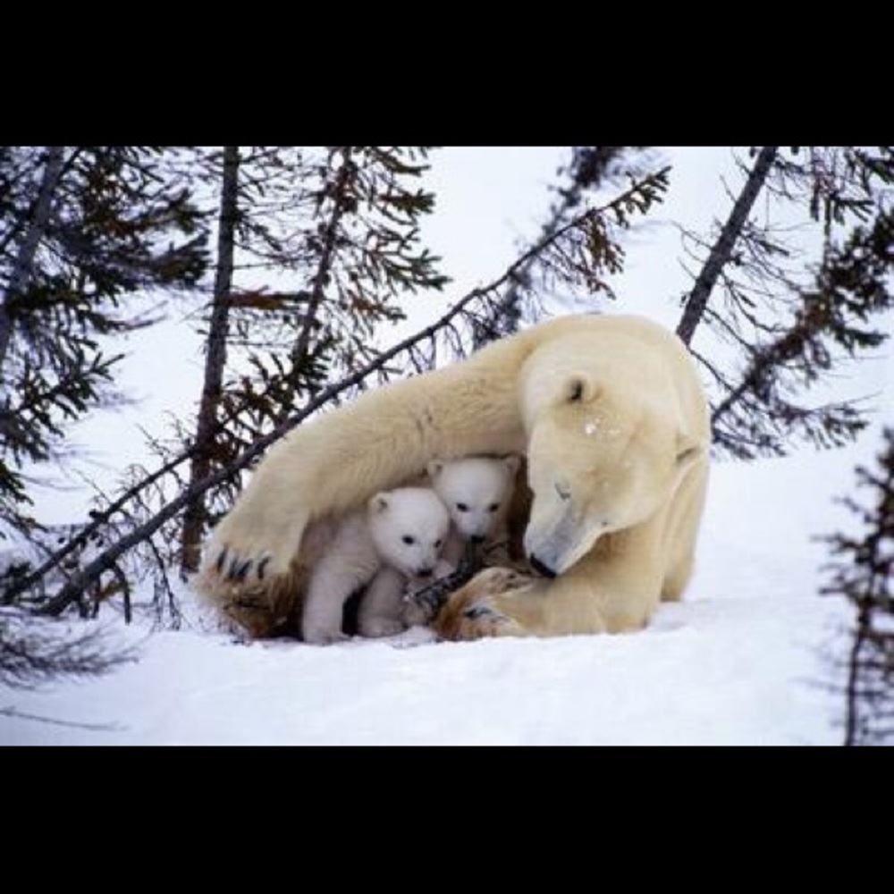 Meet your Posher, Julie