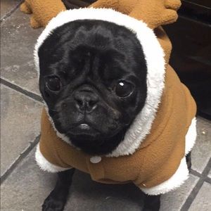 Meet your Posher, Dawna