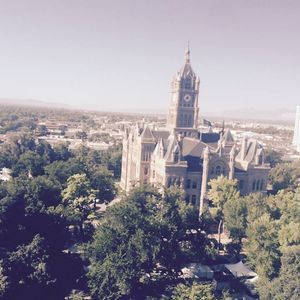 Meet your Posher, Miguel