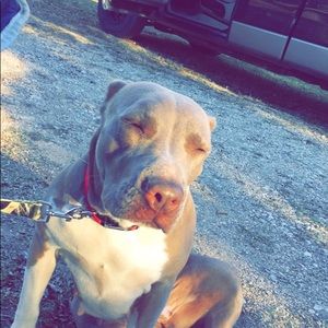 Meet your Posher, Cody