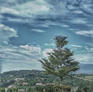 Meet your Posher, Ivette