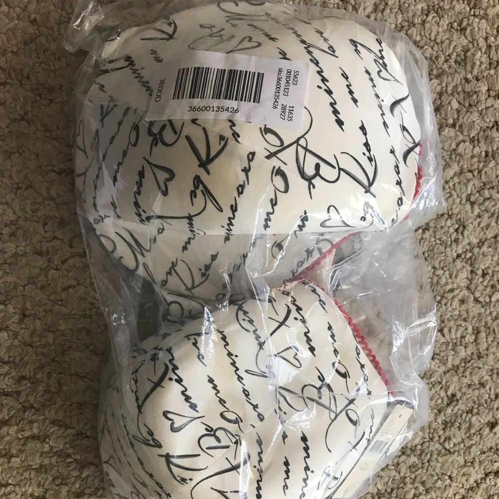 38DDD bra