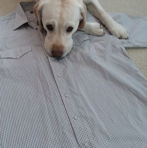 Mens Stetson shirt (western)