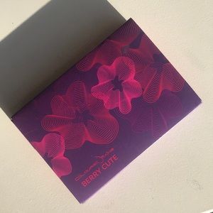 Colored Raine Berry cute palette