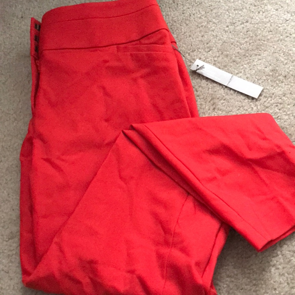 Ann Taylor Loft Julie Skinny pants