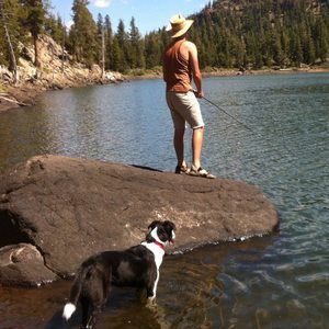 Meet your Posher, Nicholas