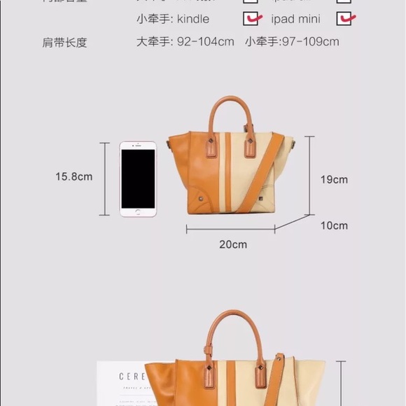 hand bag (leather)