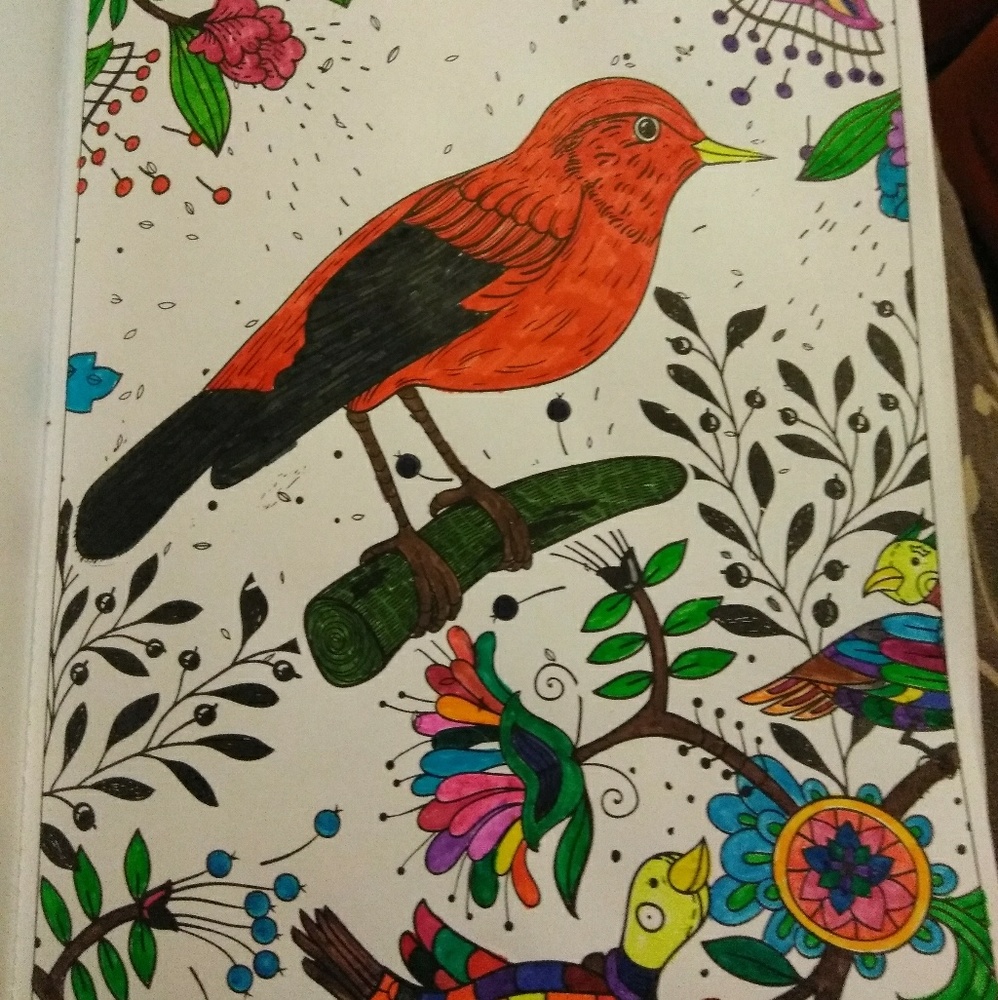 Adult coloring