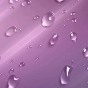 Meet your Posher, Martha