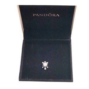 Retired Pandora Turtle Charm