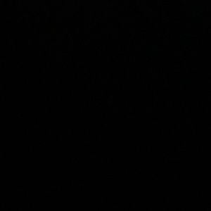 Meet your Posher, Delia