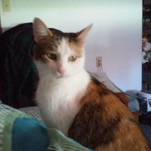 Meet your Posher, Thomas